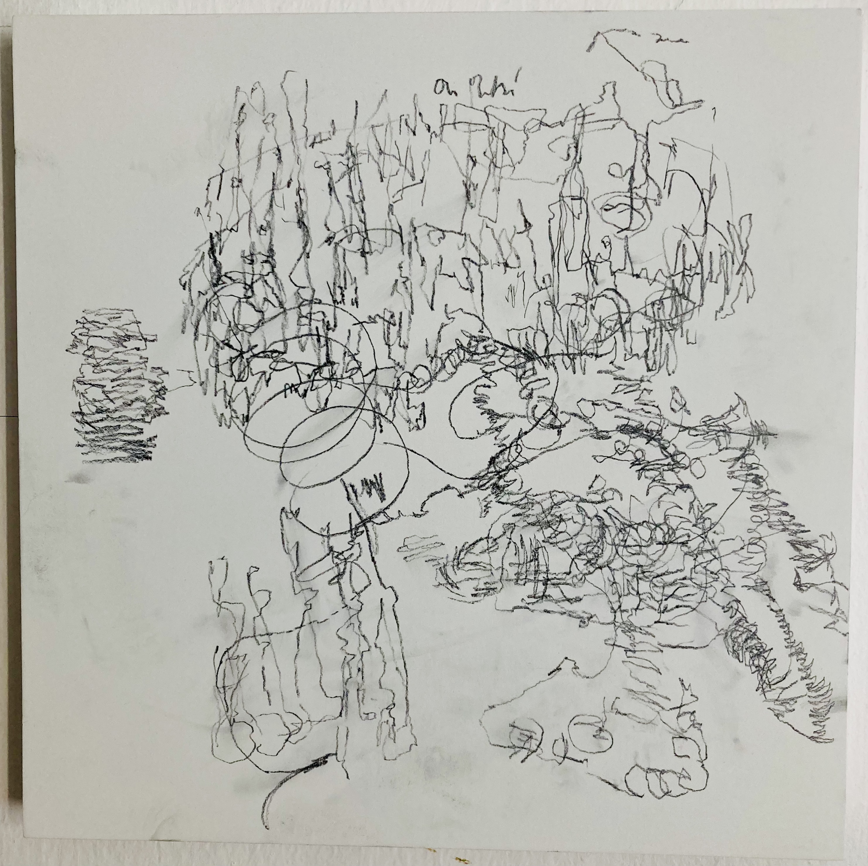 zur lesung pratergeschichte,wege,bleistift,    30x30cm, 2021